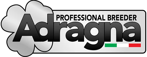 logoadragna